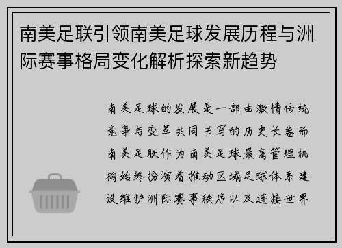 南美足联引领南美足球发展历程与洲际赛事格局变化解析探索新趋势 南美足联引领南美足球发展历程与洲际赛事格局变化解析探索新趋势